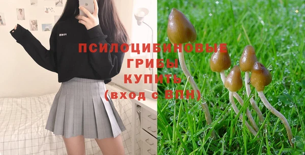 прущие крисы Беломорск