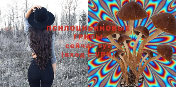 прущие крисы Беломорск