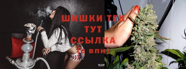 гашик Балахна