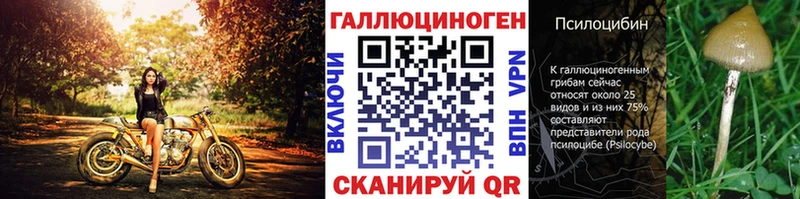 Псилоцибиновые грибы GOLDEN TEACHER  Купить  Владикавказ 